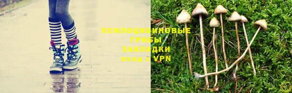 соль ск Мегион