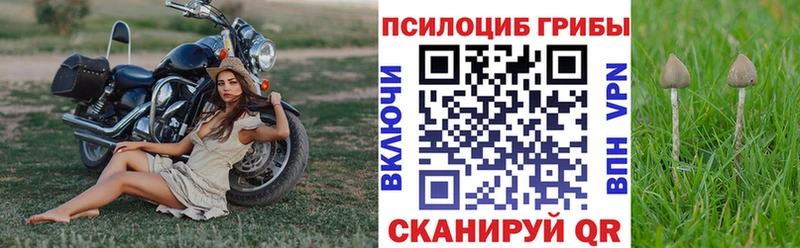 кракен маркетплейс  Иркутск  Галлюциногенные грибы мухоморы  как найти закладки 