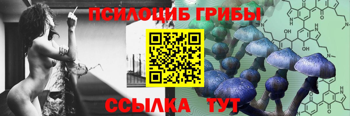 Псилоцибиновые грибы Magic Shrooms  Вход с VPN  Иркутск 