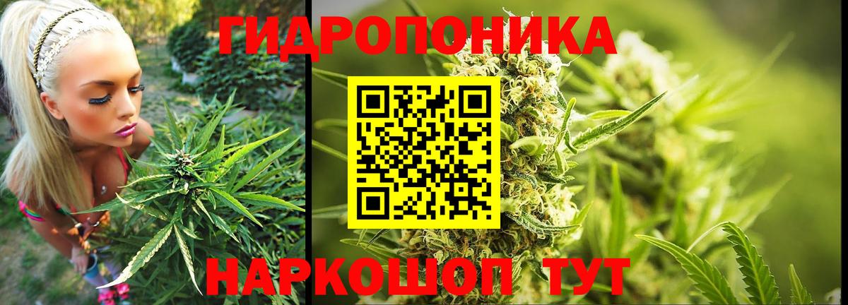 Иркутск  Бошки Шишки White Widow  Шишки марихуана план  Вход с VPN  Марихуана планчик  МАРИХУАНА ГИДРОПОН 